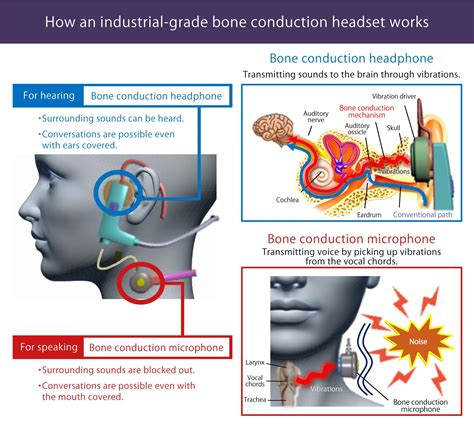 bone conduction headphones diagram 